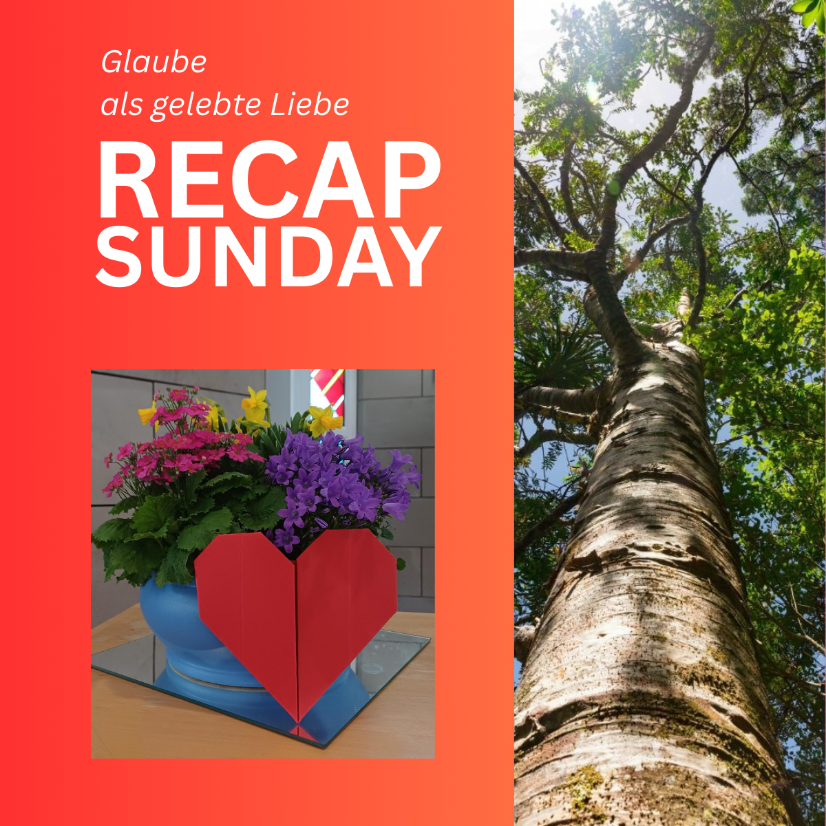 images/bilder/Staaken_2026/Recaps/2026-03-15%20Recap.png#joomlaImage://local-images/bilder/Staaken_2026/Recaps/2026-03-15 Recap.png?width=1200&height=1200